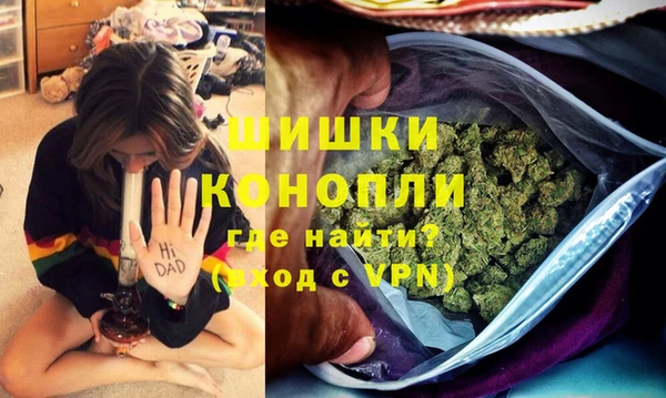 соль ск Бородино