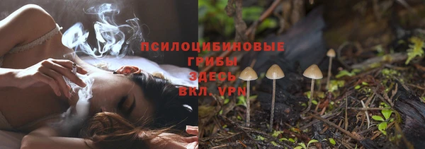 стаф Бугульма