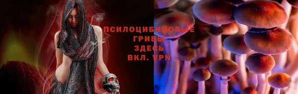 не бодяженный Бронницы