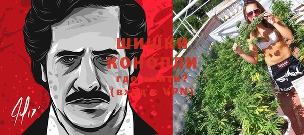 стаф Бугульма