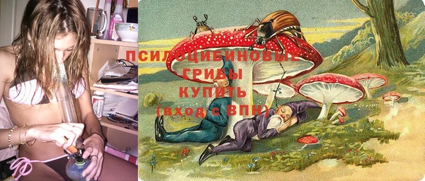 соль ск Бородино