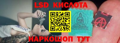 ГАЛЛЮЦИНОГЕННЫЕ ГРИБЫ Балахна