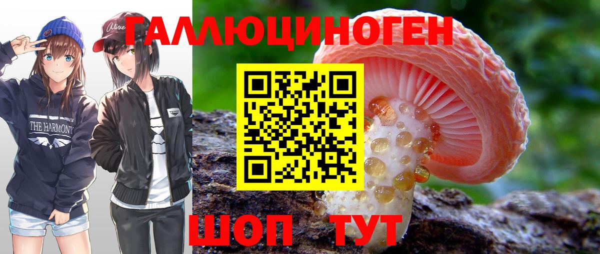 Галлюциногенные грибы мухоморы Воскресенск