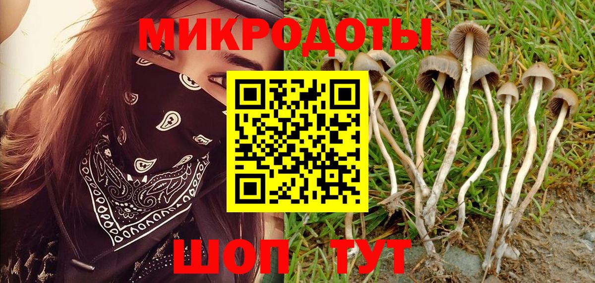 Галлюциногенные грибы прущие грибы  Вход с VPN  Воскресенск  Галлюциногенные грибы Cubensis 