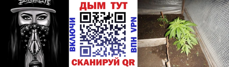 Канабис тримм  где можно купить   площадка формула  Воскресенск 